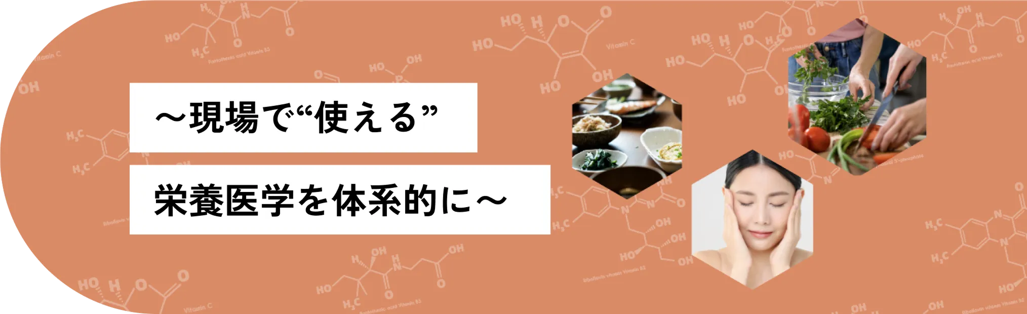 現場で使える栄養医学を体系的に