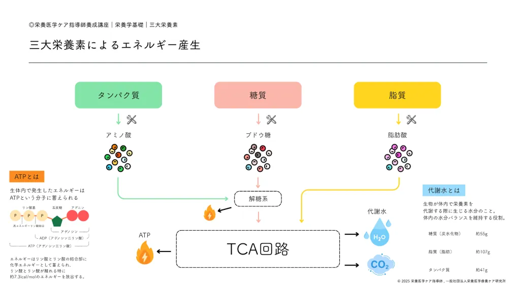 講義資料の一部を公開