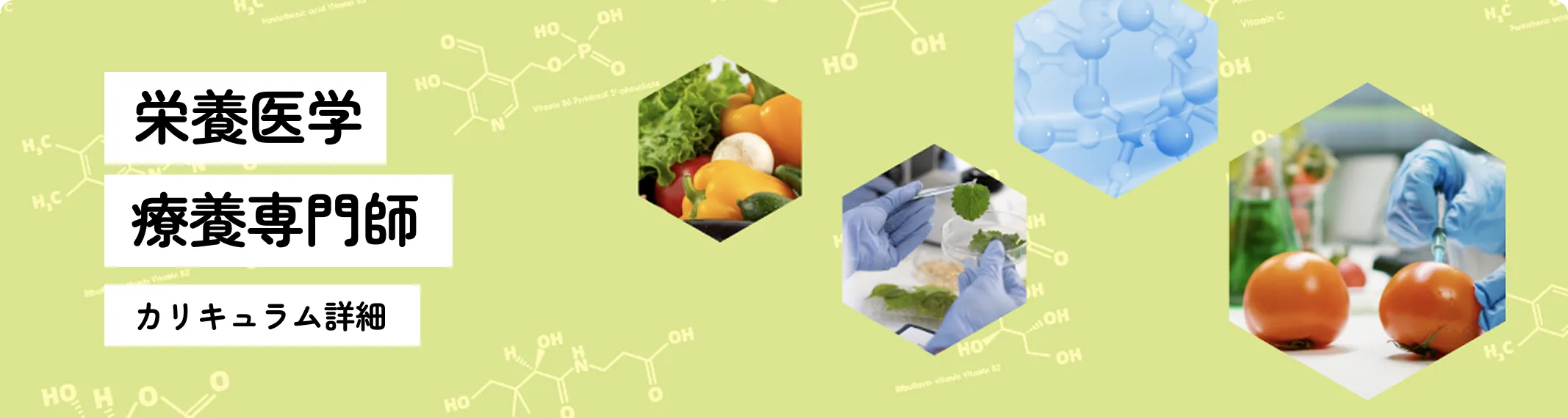 栄養医学療養専門師カリキュラム詳細
