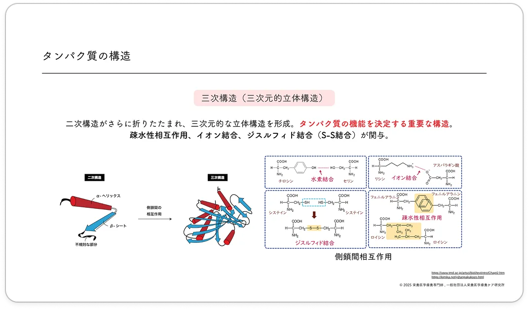 講義資料の一部を公開