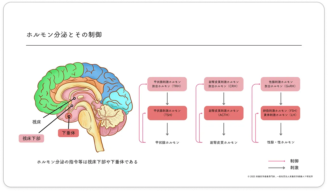 講義資料の一部を公開