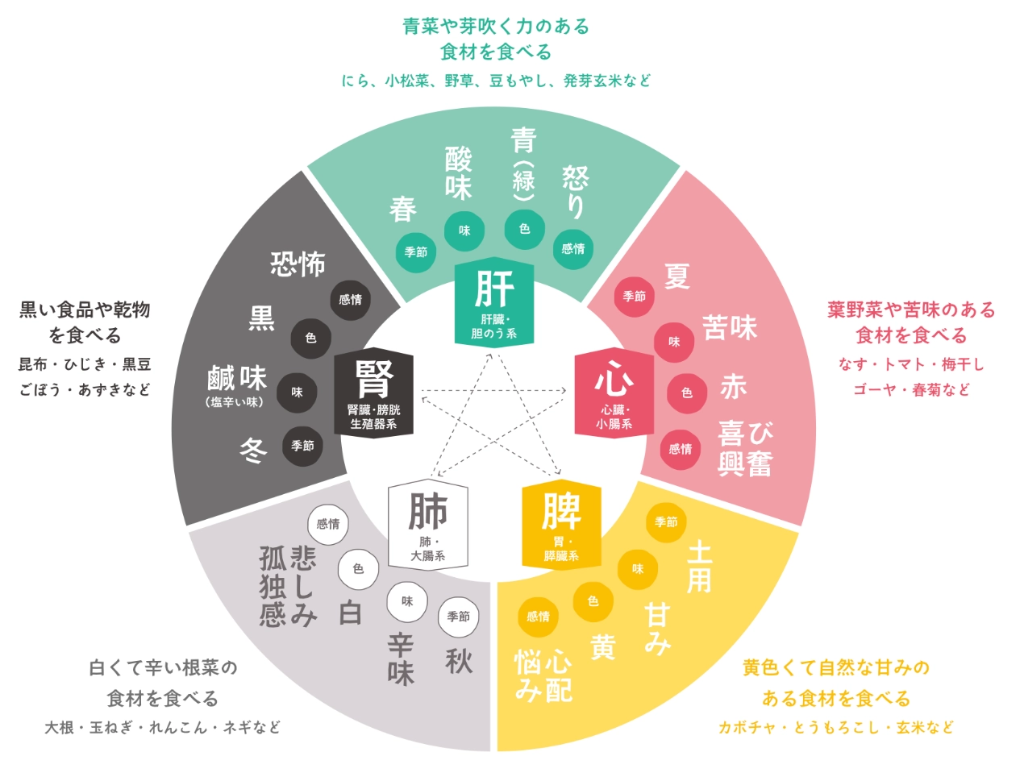 中医学の基本的な考え方