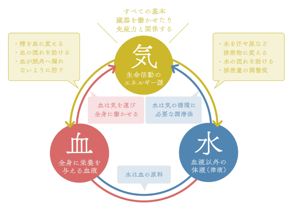 中医学の基本的な考え方